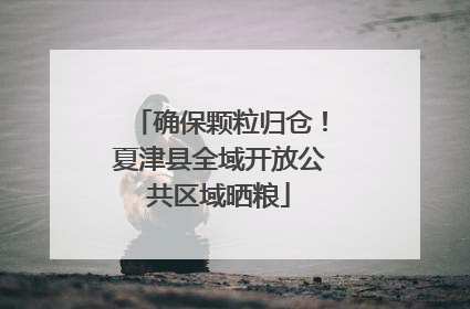 确保颗粒归仓！夏津县全域开放公共区域晒粮