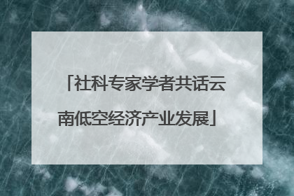 社科专家学者共话云南低空经济产业发展