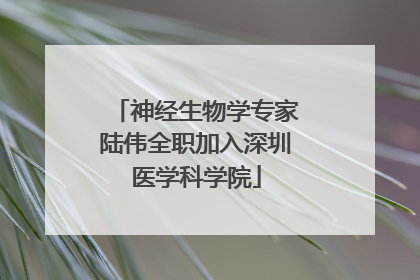神经生物学专家陆伟全职加入深圳医学科学院