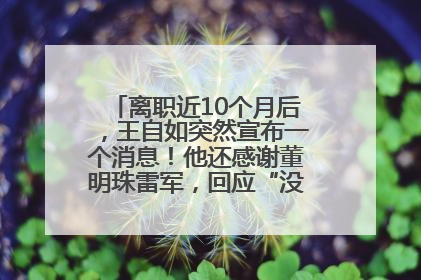 离职近10个月后，王自如突然宣布一个消息！他还感谢董明珠雷军，回应“没看过格力工资条”：真的不那么重要！