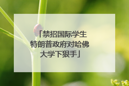 禁招国际学生 特朗普政府对哈佛大学下狠手