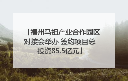 福州马祖产业合作园区对接会举办 签约项目总投资85.5亿元