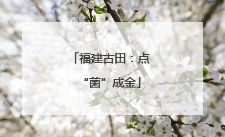福建古田：点“菌”成金