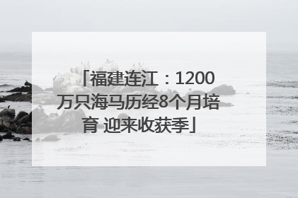 福建连江：1200万只海马历经8个月培育 迎来收获季