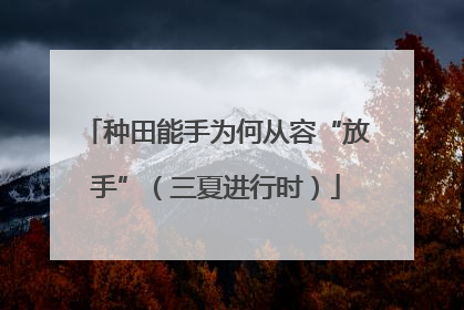 种田能手为何从容“放手”（三夏进行时）