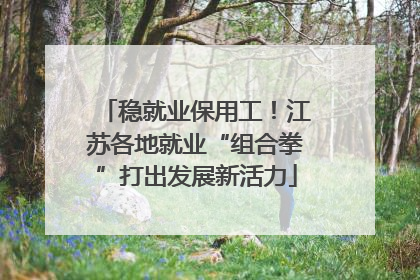 稳就业保用工！江苏各地就业“组合拳”打出发展新活力