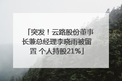 突发！云路股份董事长兼总经理李晓雨被留置 个人持股21%