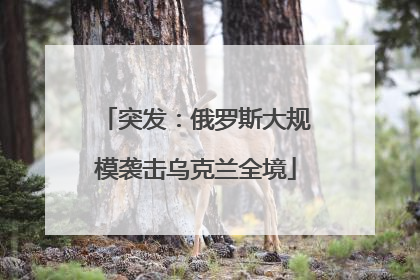 突发：俄罗斯大规模袭击乌克兰全境