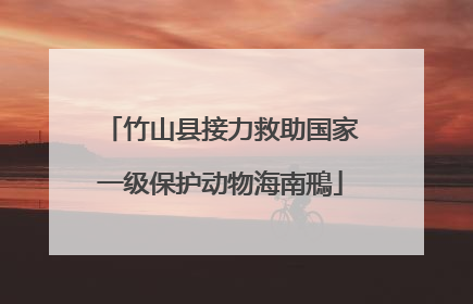 竹山县接力救助国家一级保护动物海南鳽