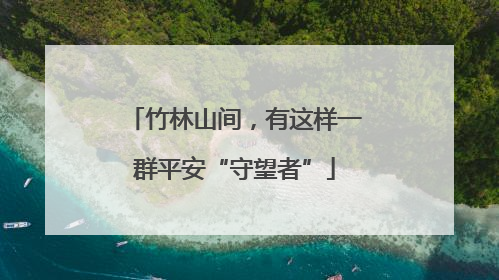 竹林山间，有这样一群平安“守望者”