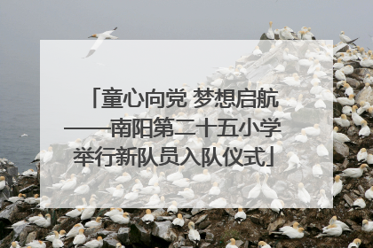 童心向党 梦想启航——南阳第二十五小学举行新队员入队仪式
