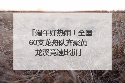 端午好热闹！全国60支龙舟队齐聚黄龙溪竞速比拼