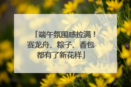端午氛围感拉满！赛龙舟、粽子、香包都有了新花样