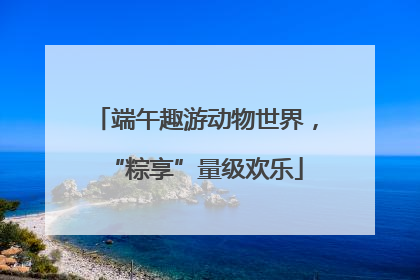 端午趣游动物世界，“粽享”量级欢乐