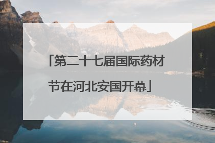 第二十七届国际药材节在河北安国开幕