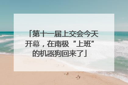 第十一届上交会今天开幕，在南极“上班”的机器狗回来了