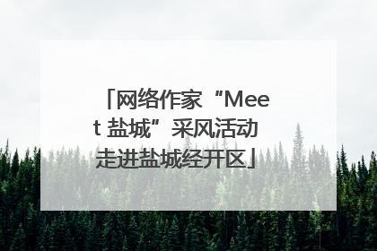 网络作家“Meet 盐城”采风活动走进盐城经开区