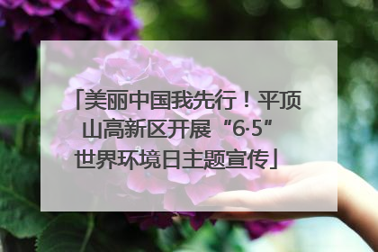 美丽中国我先行！平顶山高新区开展“6·5”世界环境日主题宣传