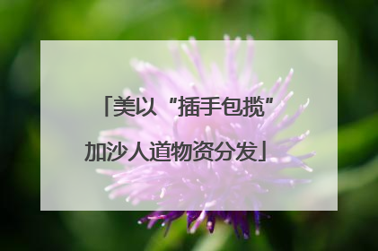 美以“插手包揽”加沙人道物资分发