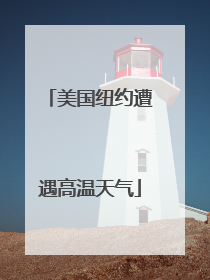 美国纽约遭遇高温天气