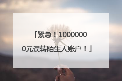 紧急！10000000元误转陌生人账户！
