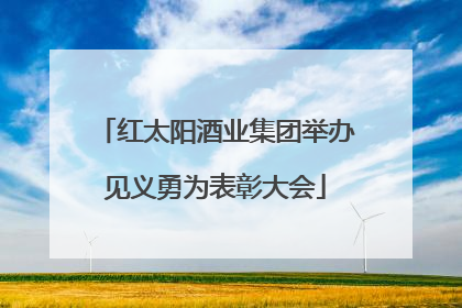 红太阳酒业集团举办见义勇为表彰大会