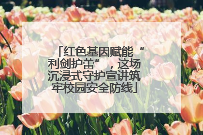 红色基因赋能“利剑护蕾”，这场沉浸式守护宣讲筑牢校园安全防线