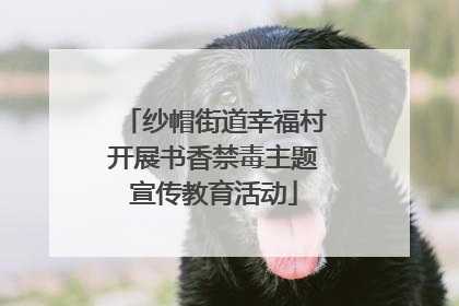 纱帽街道幸福村开展书香禁毒主题宣传教育活动