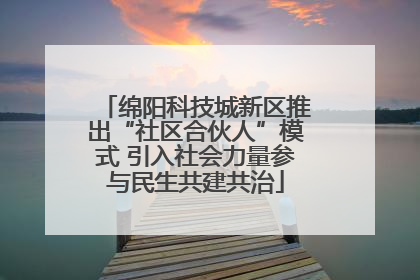 绵阳科技城新区推出“社区合伙人”模式 引入社会力量参与民生共建共治