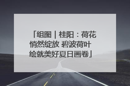 组图｜桂阳：荷花悄然绽放 碧波荷叶绘就美好夏日画卷