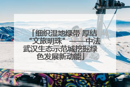 细织湿地绿带 厚结“文旅明珠”——中法武汉生态示范城挖掘绿色发展新动能