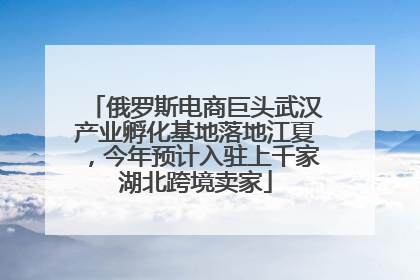 俄罗斯电商巨头武汉产业孵化基地落地江夏，今年预计入驻上千家湖北跨境卖家