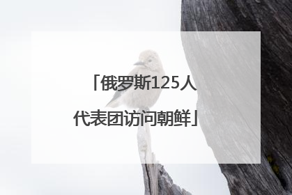 俄罗斯125人代表团访问朝鲜
