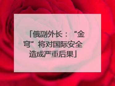 俄副外长：“金穹”将对国际安全造成严重后果