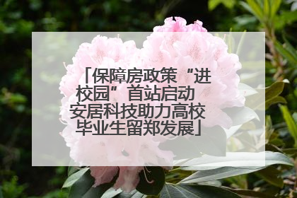 保障房政策“进校园”首站启动 安居科技助力高校毕业生留郑发展