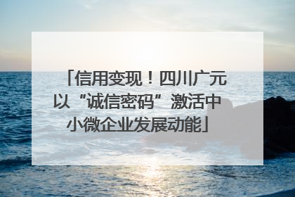 信用变现！四川广元以“诚信密码”激活中小微企业发展动能