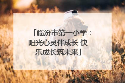 临汾市第一小学：阳光心灵伴成长 快乐成长筑未来