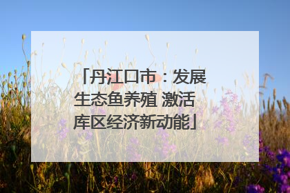 丹江口市：发展生态鱼养殖 激活库区经济新动能