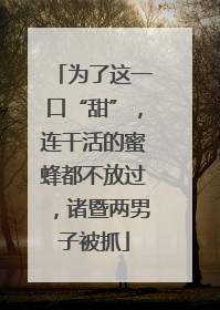 为了这一口“甜”，连干活的蜜蜂都不放过，诸暨两男子被抓