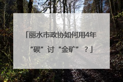 丽水市政协如何用4年“碳”讨“金矿”？