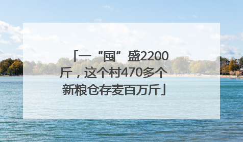 一“囤”盛2200斤，这个村470多个新粮仓存麦百万斤