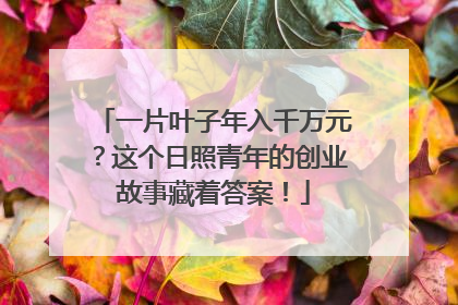 一片叶子年入千万元？这个日照青年的创业故事藏着答案！