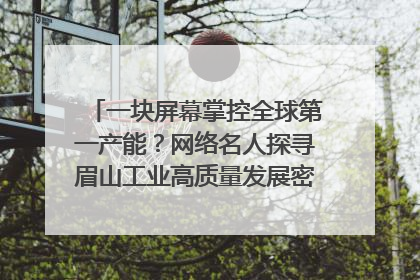 一块屏幕掌控全球第一产能？网络名人探寻眉山工业高质量发展密码｜网络名人四川行