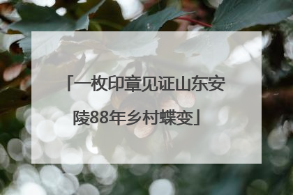 一枚印章见证山东安陵88年乡村蝶变