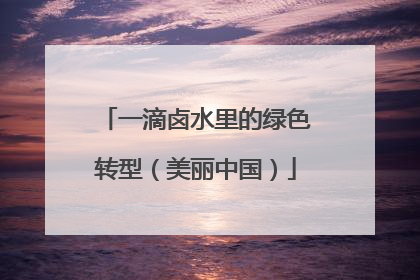 一滴卤水里的绿色转型（美丽中国）