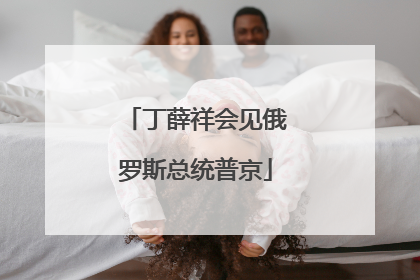 丁薛祥会见俄罗斯总统普京
