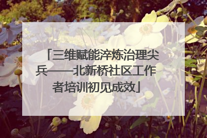 三维赋能淬炼治理尖兵——北新桥社区工作者培训初见成效