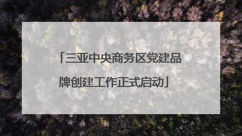 三亚中央商务区党建品牌创建工作正式启动