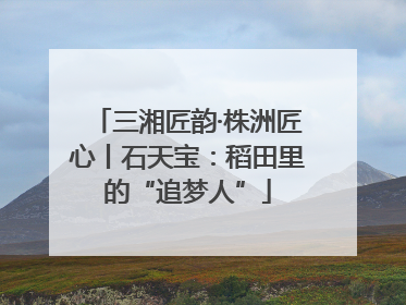三湘匠韵·株洲匠心丨石天宝：稻田里的“追梦人”