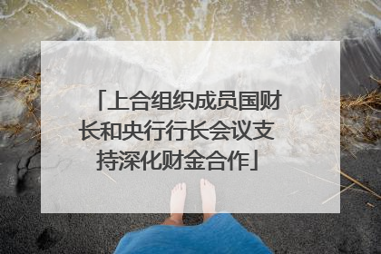 上合组织成员国财长和央行行长会议支持深化财金合作